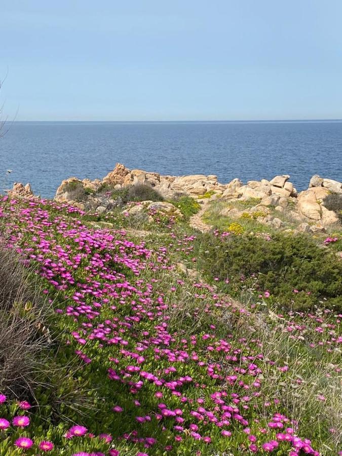 马达莱纳Casa Mughetto R5055 Seafront, Private Sea Access, Swimming Pool别墅 外观 照片