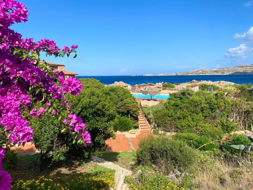 马达莱纳Casa Mughetto R5055 Seafront, Private Sea Access, Swimming Pool别墅 外观 照片