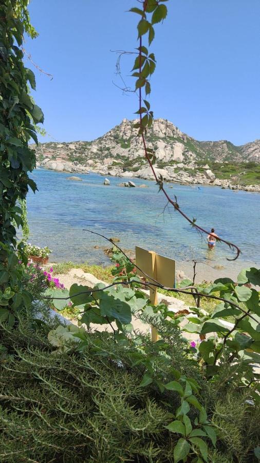 马达莱纳Casa Mughetto R5055 Seafront, Private Sea Access, Swimming Pool别墅 外观 照片