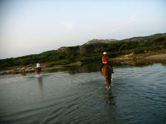 马达莱纳Casa Mughetto R5055 Seafront, Private Sea Access, Swimming Pool别墅 外观 照片